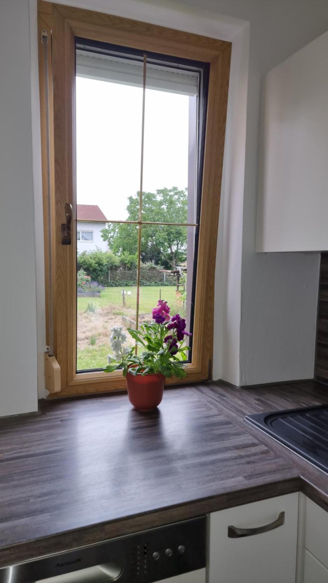 3- Zimmer-Wohnung In Linz Leonding المظهر الخارجي الصورة