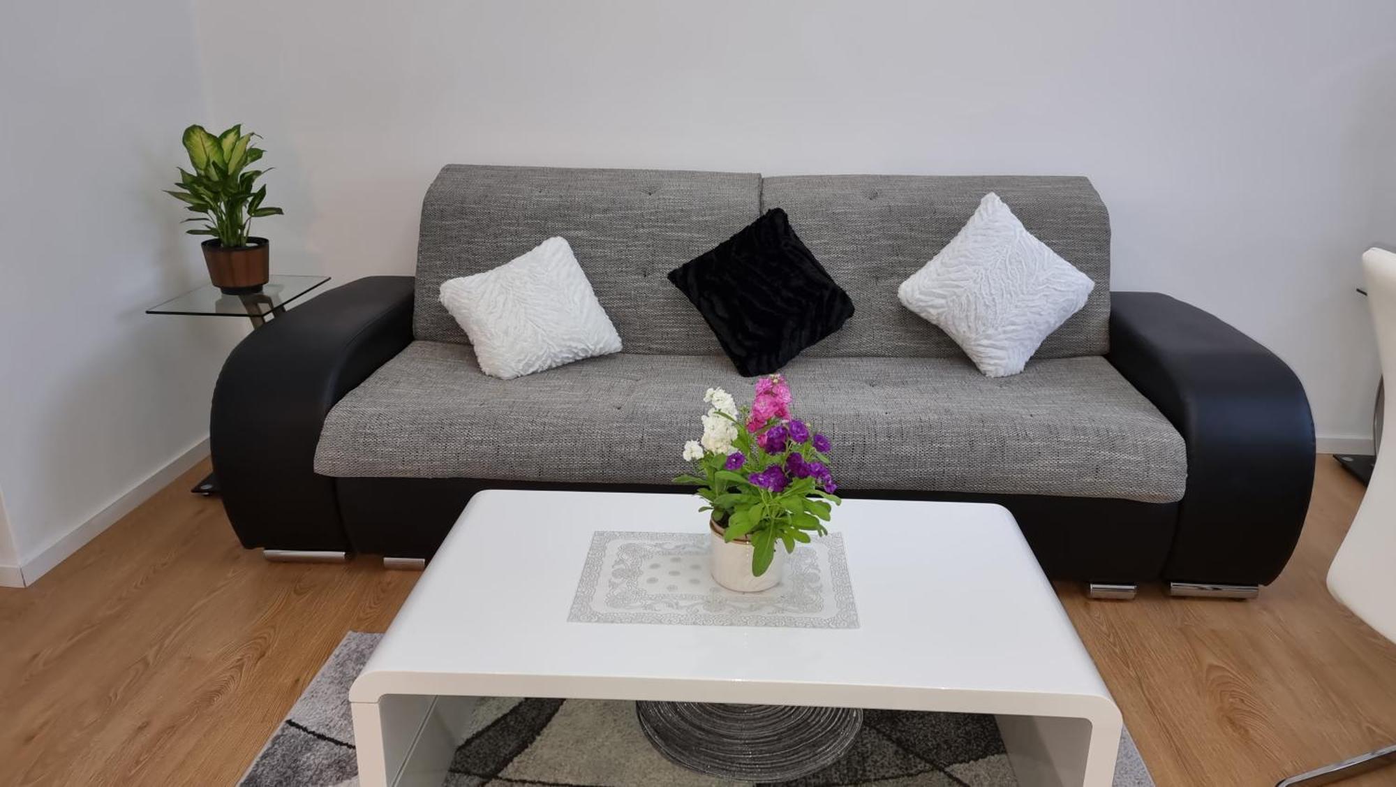 3- Zimmer-Wohnung In Linz Leonding المظهر الخارجي الصورة